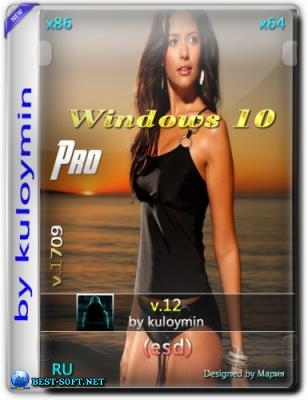 Windows 10 Pro 1709 x86/x64 by kuloymin v12 (esd)