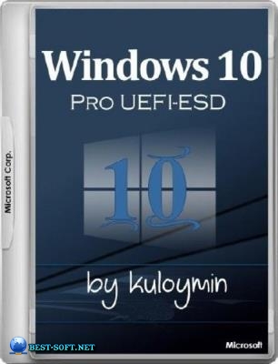 Windows 10 Pro 1709 x86/x64 by kuloymin v12.2 (esd)