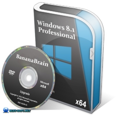 Windows 8.1 Pro (x64)