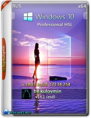 Windows 10 HSL/Pro 1803 x64 by kuloymin v14.1 (esd)
