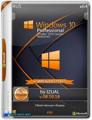 Windows_10_Professional 17763.1 Version 1809 (x64) _IZUAL_08_10_18 (esd)