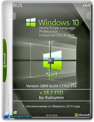 Windows 10 (v1809) 5in1 by kuloymin v18.2 x64bit