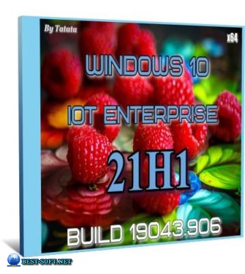 Windows 10 Iot Enterprise 19042.906 x64 by Tatata