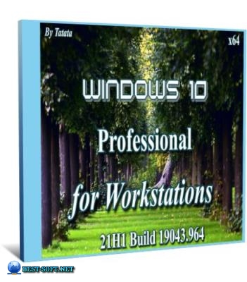 Windows 10 Pro for Workstations 19043.964 x64