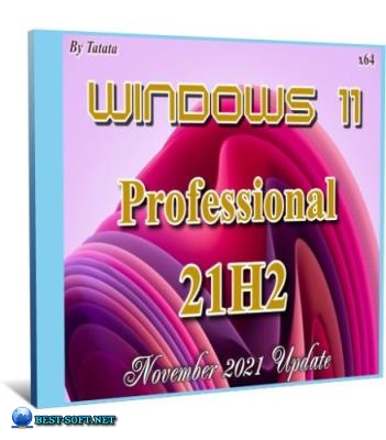Windows 11 Professional 22000.348 by Tatata (x64)