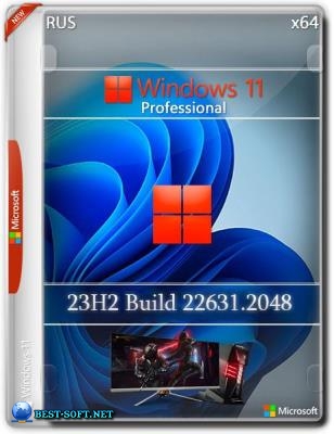 Windows 11 23H2 22631.2048 Pro  