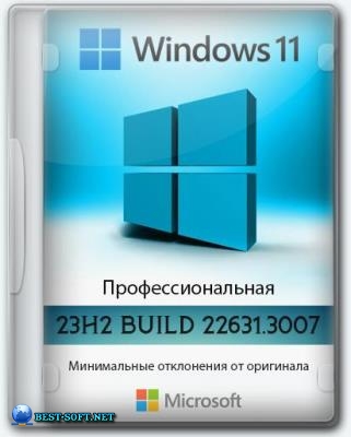 Windows 11 Pro 23H2 (22631.3007)  