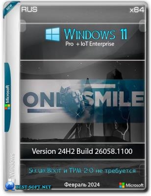 Windows 11 24H2 x64  by OneSmiLe [26058.1100]