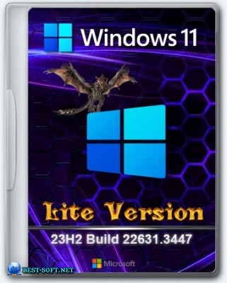 Windows 11 Pro   23H2 Build 22631.3447 x64