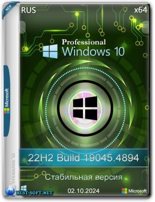 Windows 10 Pro  22H2 19045.4894 Stable