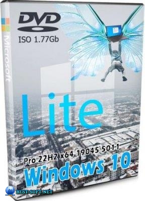 Windows 10 Lite Pro 22H2 19045.5011  by Revision