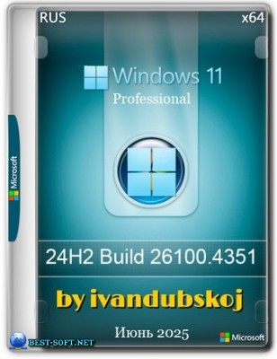Windows 11 Pro 24Н2 Build 26100.4351 by ivandubskoj