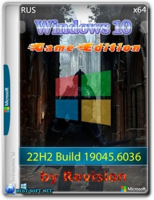   Windows 10 Pro 19045.6036 by Revision
