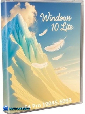 Windows 10 Pro    22H2 19045.6093 by Revision