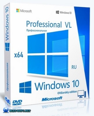 Windows 10 Pro VL x64 22H2  by OVGorskiy 10.2025