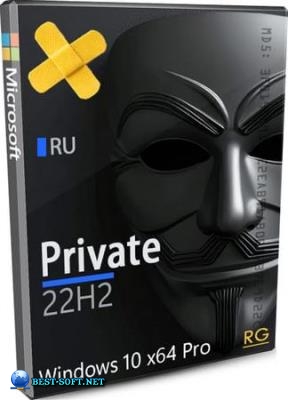 Windows 10 Pro 22H2 Private Core 19045.6809 by Revision