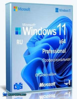 Windows 11 Professional VL 25H2 by OVGorskiy 04.2026