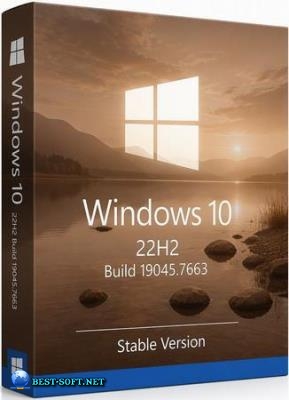 Windows 10 Pro 22H2 Build 19045.7663 Stable