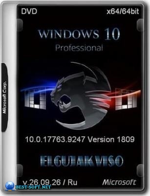 Windows 10 Pro 1809 Build 17763.9247 by Elgujakviso Edition