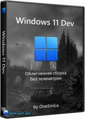 Windows 11 Pro Dev version Build 29683.1000 by OneSmiLe