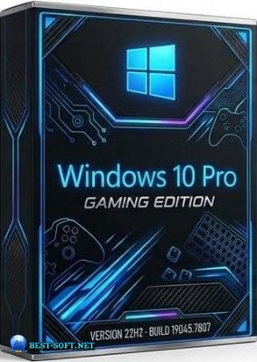 Windows 10 Pro Gaming Edition 22H2 Build 19045.7807
